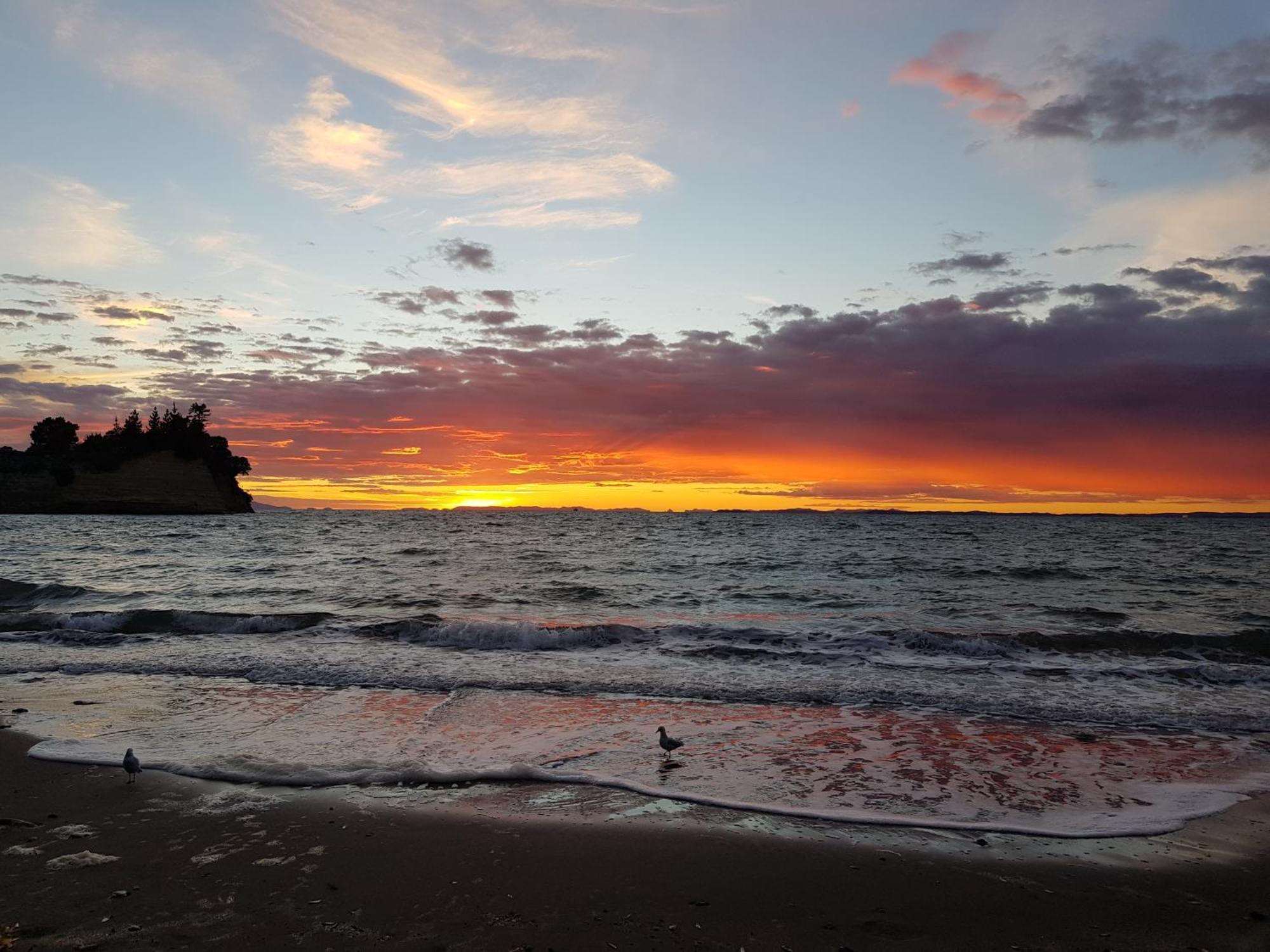 Whangaparaoa Lodge Kültér fotó